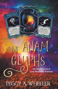 bokomslag The Anam Glyphs
