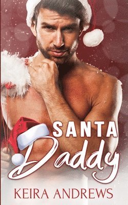 bokomslag Santa Daddy