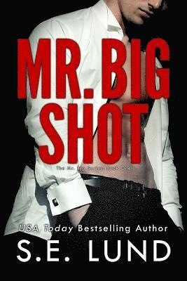 bokomslag Mr. Big Shot
