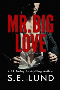 bokomslag Mr. Big Love: The Mr. Big Series: Book Two