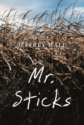 Mr. Sticks 1