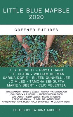 Little Blue Marble 2020