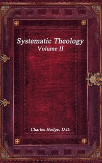bokomslag Systematic Theology Volume II