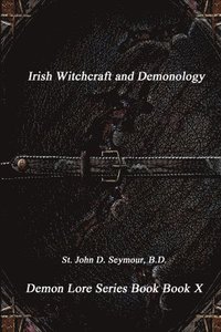 bokomslag Irish Witchcraft and Demonology