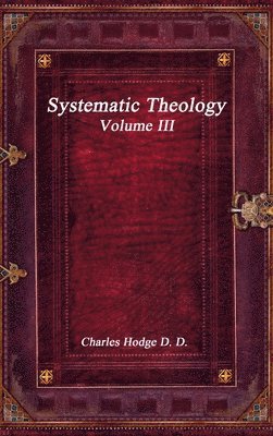 bokomslag Systematic Theology Volume III