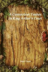 bokomslag Connecticut Yankee in King Arthur's Court