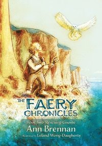 bokomslag The Faery Chronicles Book Two