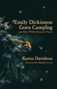 bokomslag Emily Dickinson Goes Camping