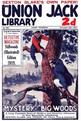 G H Teed, G. H. Teed - Mystery in the Big Woods (Illustrated), Häftad