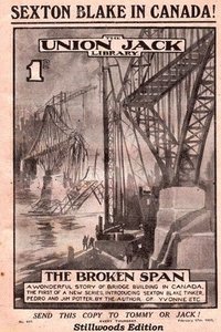 bokomslag Broken Span