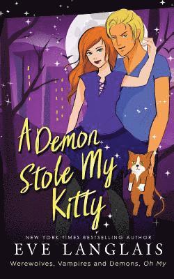 A Demon Stole My Kitty 1