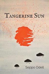 bokomslag Tangerine Sun