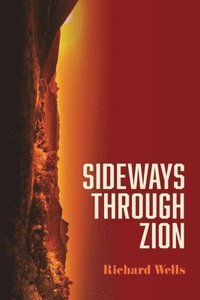 bokomslag Sideways through Zion