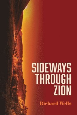 bokomslag Sideways through Zion
