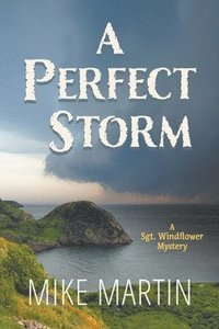 bokomslag A Perfect Storm