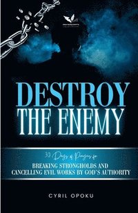 bokomslag Destroy the Enemy
