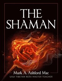 bokomslag The Practical Shaman