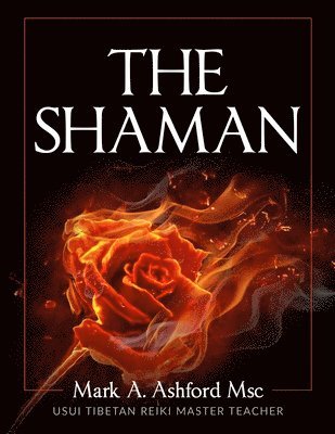 The Practical Shaman 1