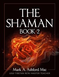 bokomslag Practical Shaman Book 2