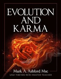 bokomslag Practical Shaman - Evolution and Karma