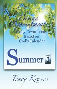 bokomslag Divine Appointments