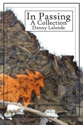 In Passing: A collection