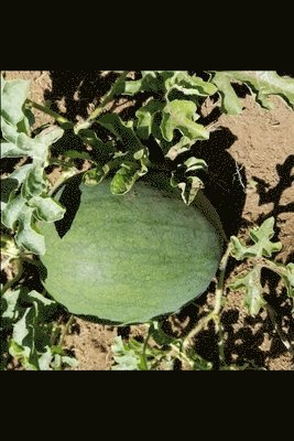 CONFESSIONS OF A SENIOR PLANT VIROLOGIST...and pathologist...: New Edition