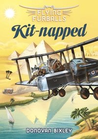 bokomslag Flying Furballs 5: Kit-napped