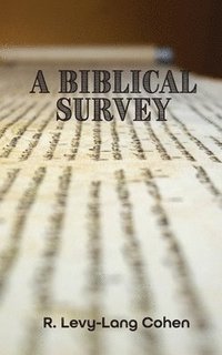 bokomslag A Biblical Survey