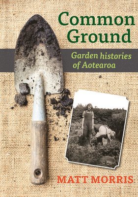 Matt Morris - Common Ground, Häftad