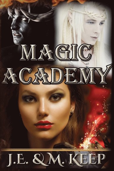 bokomslag Magic Academy