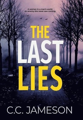 bokomslag The Last Lies