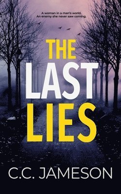 bokomslag The Last Lies