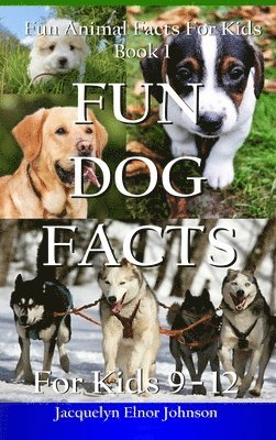 bokomslag Fun Dog Facts for Kids 9-12