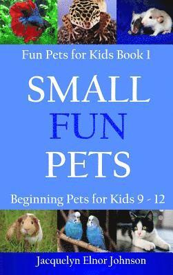 bokomslag Small Fun Pets