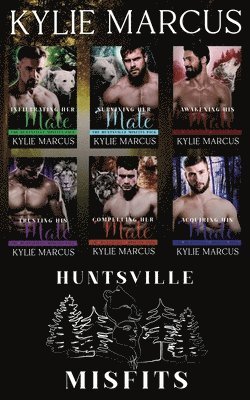 bokomslag Huntsville Misfits Anthology