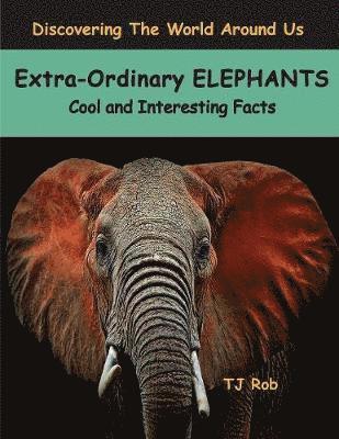 Extra-Ordinary Elephants 1