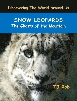 Snow Leopards 1