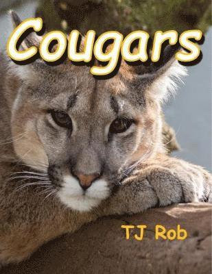 bokomslag Cougars