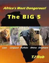 bokomslag Africa's Most Dangerous - The Big 5