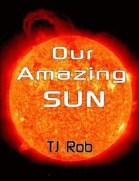 bokomslag Our Amazing Sun