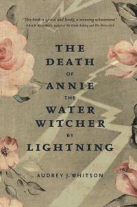 bokomslag The Death of Annie the Water Witcher by Lightning
