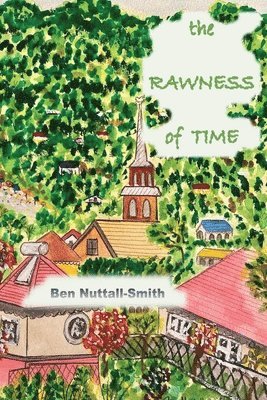bokomslag Rawness of Time