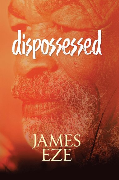 bokomslag Dispossessed