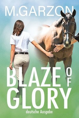 bokomslag Blaze of Glory