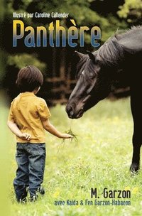 bokomslag Panthère