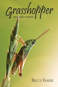 bokomslag Grasshopper and other stories
