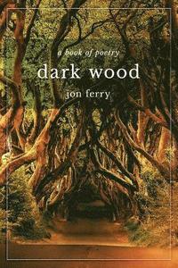 bokomslag Dark Wood