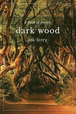 bokomslag Dark Wood