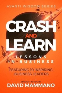 bokomslag Crash and Learn: Lessons in Business